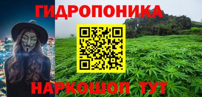 a pvp Будённовск