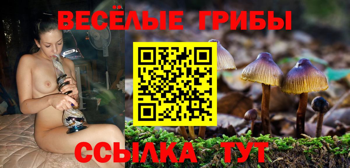 Галлюциногенные грибы ЛСД  Вход с VPN  Пятигорск  Псилоцибиновые грибы мицелий 